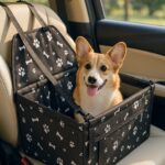 processed chatgpt image 2025年10月8日 22 24 51