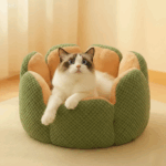 未命名项目 图层 2 (4)